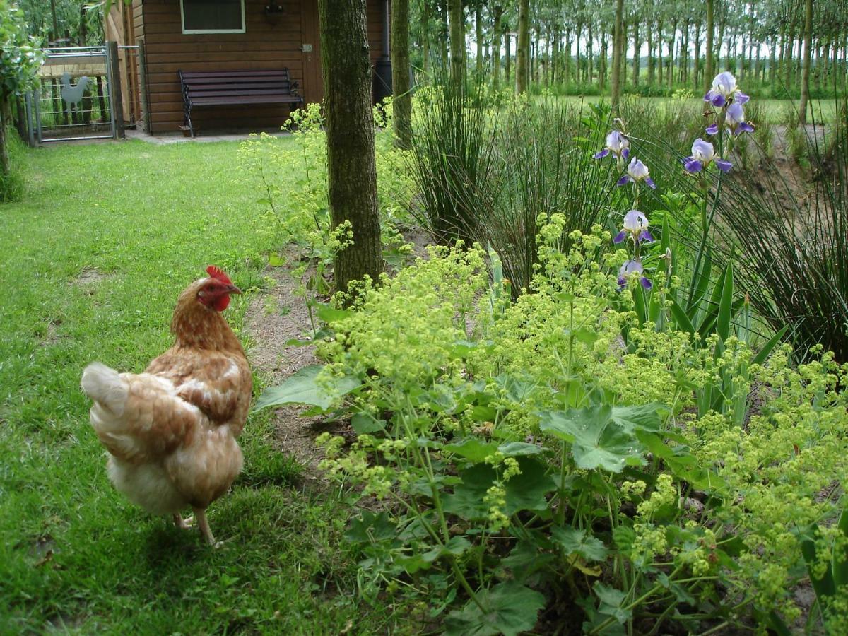 Ooldershoeve Appartement Onstwedde Buitenkant foto